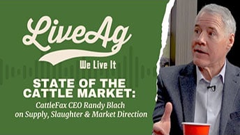 CattleFax CEO Randy Blach discussing supply, slaughter, and market direction at LiveAg Dev event.